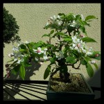 rps20190401_161736.jpg
