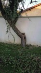 IMG-9dc1ce43aec020aa5940618a91ea93ae-V_compress44.jpg