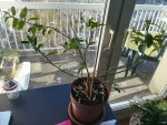 IMG_20200401_174754.jpg