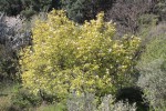 IMG_1052.JPG