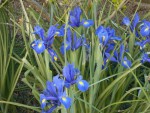 DSCN0618.JPG