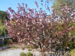 DSCN0615.JPG
