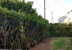 IMG_20200330_192251139_HDR.jpg
