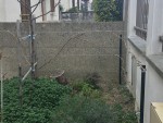 IMG_0580.JPG