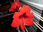 DSCN0581.JPG