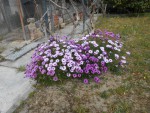 DSCN0608.JPG