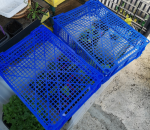 cagettes.PNG