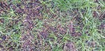 20200411_081841.jpg