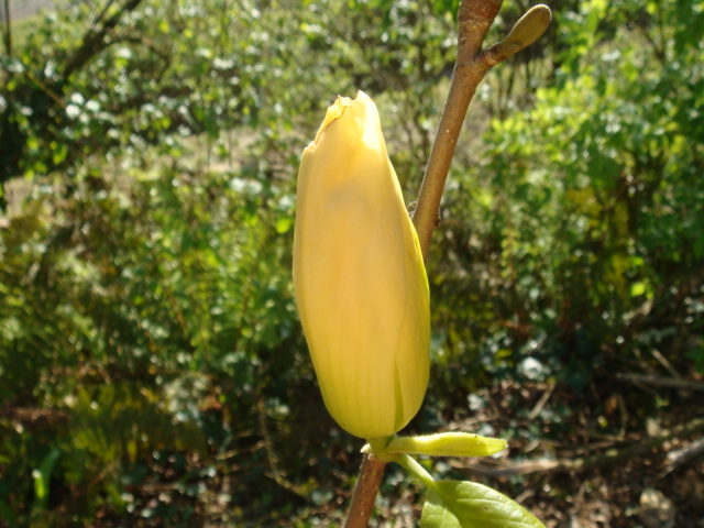 mars 2008 137.jpg