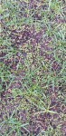 20200411_081938.jpg