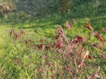 thumbnail_IMG_20200409_182633.jpg