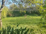 thumbnail_IMG_20200409_183441.jpg