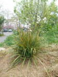 DSCN3168.JPG
