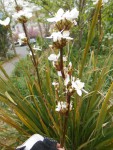 DSCN3169.JPG