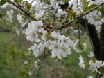 P1000073.JPG