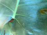 IMG_8615.jpg