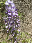 IMG_6993.JPG