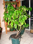 DSC03075.JPG