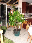 DSC03076.JPG