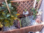 Photo jardinière