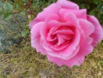 DSCN0675.JPG
