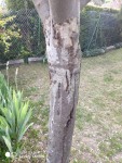 IMG-20200417-WA0014.jpg