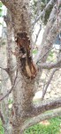 IMG_20200417_164924_copy_971x2104.jpg