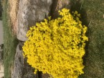 840A063A-09C4-42B8-895C-1C0C7E630DA1.jpeg