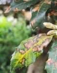 IMG_20200419_081234.jpg