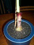 111_0910.jpg
