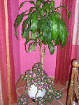 DSCN3211.JPG