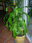 DSCN3209.JPG