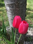 IMG_7087.JPG