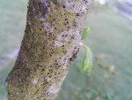 IMG_20200422_205208.jpg