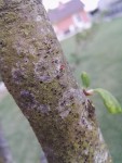 IMG_20200422_205347.jpg