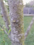 IMG_20200422_205318.jpg