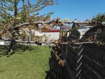 IMG_20200423_114241.jpg