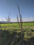 MVIMG_20200423_191818.jpg