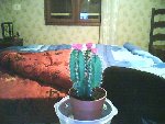 Picture0024.jpg