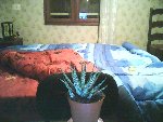 Picture0025.jpg