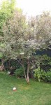 110C72EA-E579-4AFA-A6B0-D9D4B2824102.jpeg
