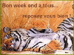 wetigre.jpg