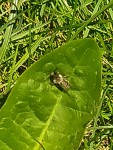 IMG20200426115442.jpg