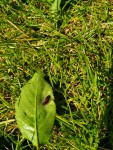 IMG20200426114644.jpg