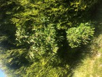 IMG_0659.jpg