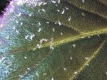 4C206D5C-3597-46FE-B341-E82CE4C24FA6.jpeg