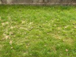 IMG_3871.jpg