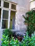 le jardin terrasse 230608 9.JPG
