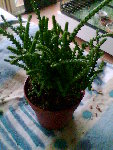 Photo014.jpg