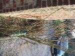 DSC01358.JPG